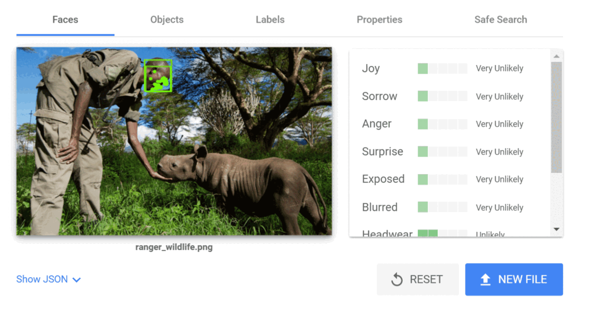 elephant2