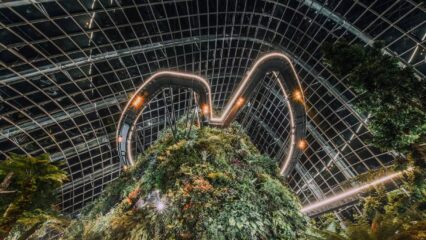 e-commerce and beyond