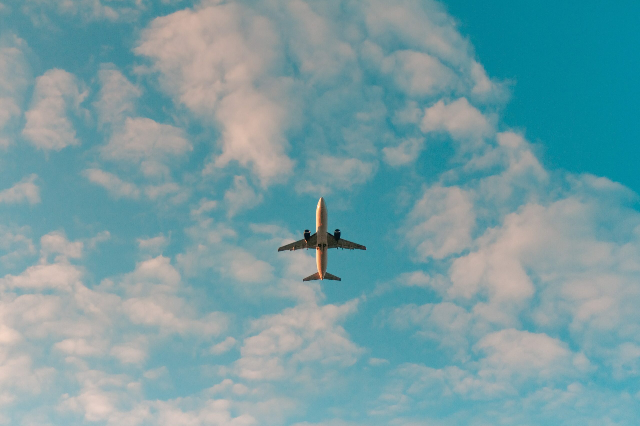 How strong demand for vacation travel is revving up metasearch engines