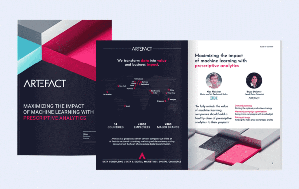 Whitepaper: "Maximizing the impact of Machine Learning with prescriptive analytics."
